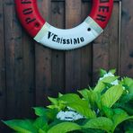 Victor Verissimo - Facebook