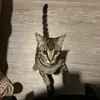 victoria ༯☣︎ - @victoria.viola - TikTok