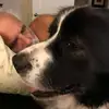 Victor Welch - @victor.welch6 - TikTok