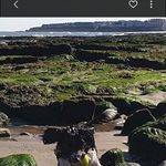 Victor Whitaker - @victor.whitaker.39 - Instagram