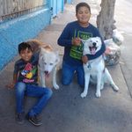 Victor Yebra - @victor.yebra.73 - Instagram
