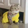 Victor Yuen - @victor.yuen41 - TikTok