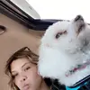 Victoria Andre - @thattoriachick - TikTok