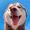 Victoria Andrea - @victoria.andrea53 - TikTok