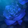 Victoria Bracamonte - @victoria.bracamon69 - TikTok