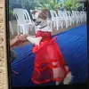 Victoria Bracamonte - @victoria.bracamon12 - TikTok