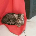 danila57 - @victoria_bye_bye_57 - Instagram