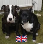 Victoria Cuffe - Facebook