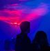 Victoria Aya Cusick - Facebook