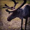 Victoria - @victoriaehrhart7 - TikTok