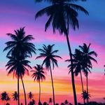 Victoria Elderbaum - @victoria_elderbaum - Instagram