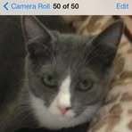 Vicki Endsley - Facebook