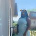 Victoria Epps - Facebook