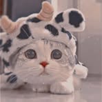 Victoria Esanu - Facebook