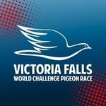 Victoria Falls World Challenge Pigeon Race - @victoriafallswcpr - Instagram