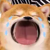 fieldvictoria - @fieldvictoria - TikTok