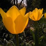Victoria Field - @victoriafieldwriter - Instagram