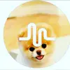 🌹Victoria.4102007🌹 - @victoria.glaser - TikTok