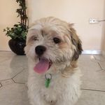Victoria Glaser - @vicki_glaser05 - Instagram