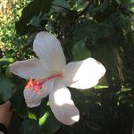 Victoria.glaser17 - @glaser.victoria - Instagram
