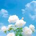 Viktoria Krouff - Facebook