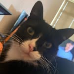 Vickie Hamlin - @victoria_fortytwo - Instagram
