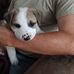 Victoria Hammonds - Facebook