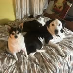 Victoria Hebert - @flashwahoo - Instagram