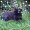 victoriahebert31 - @victoriahebert31 - TikTok
