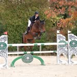 Ecuries Victoria Hoffmann.H 🐴 - @ecurie.v.hoffmann.h - Instagram
