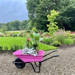 Victoria Keys - @victoriainthegarden - Instagram