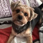 Victoria Keys Grindle - @sadiemaegrindle - Instagram