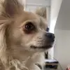 Victoria Laporte - @victorialaporte92 - TikTok