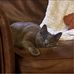 Victoria Levin - Facebook
