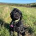 Victoria Lock - Facebook