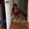victoriamclean12 - @victoriamclean12 - TikTok