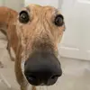 victorianye719 - @victorianye719 - TikTok
