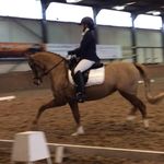 Victoria Ogden-Pickering - @op_dressage - Instagram