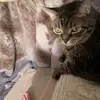 victoriapickering3 - @victoriapickering3 - TikTok