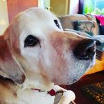 love u Sophie x ben x liam - @victoria_robinson__ - Instagram