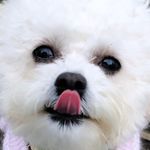 Victoria Robinson - @victoriarobinson_ - Instagram