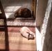 Victoria Schembri - Facebook