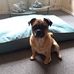 Vicky Simcox - Facebook