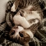 Victoria Slagle - @slagle13114 - Instagram