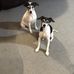 Vicki Stackhouse - Facebook