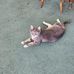 Victoria Strader - Facebook