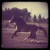 victoriaseastrunk - @victoriaseastrunk - TikTok