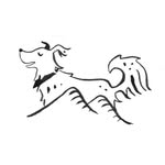 Summit Dog Training - @summitdogsvictoria - Instagram