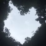 Victoria Tobin - @victoriatobin - Instagram
