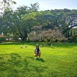 Victoria Toro - @victoria_toro - Instagram
